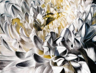 Chrysantheme