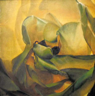 Innere der Rose