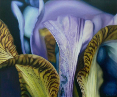 Iris
